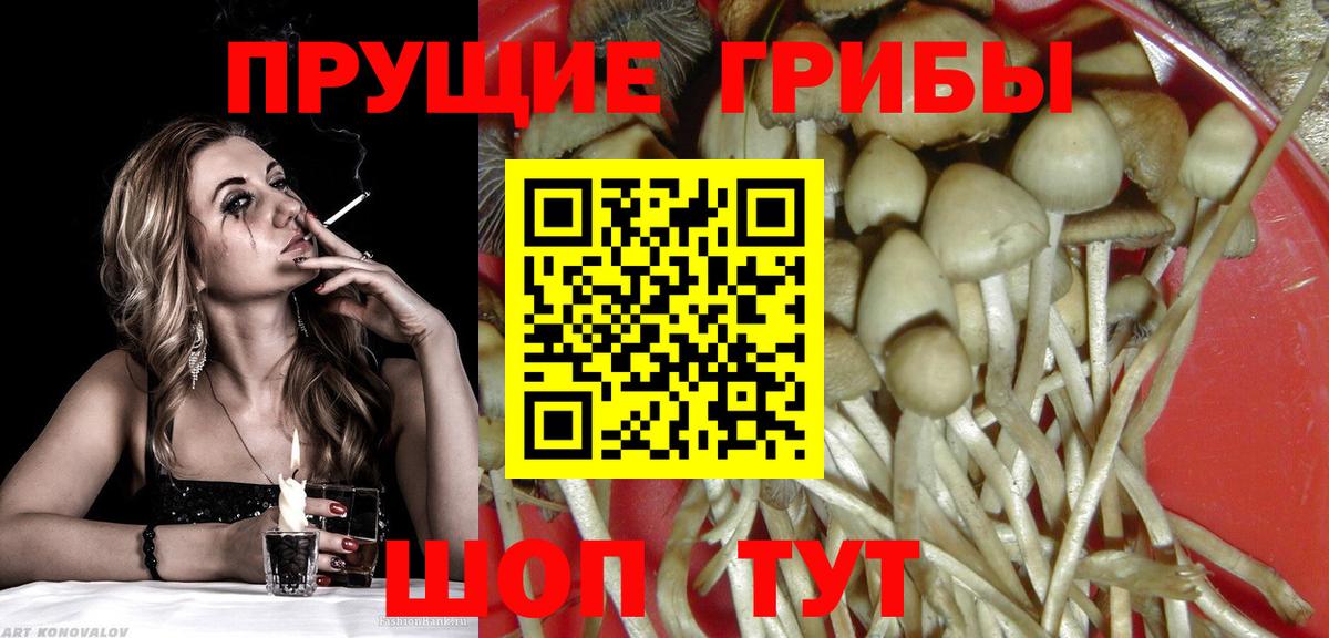 Галлюциногенные грибы мухоморы Октябрьский